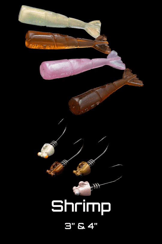 Shrimp